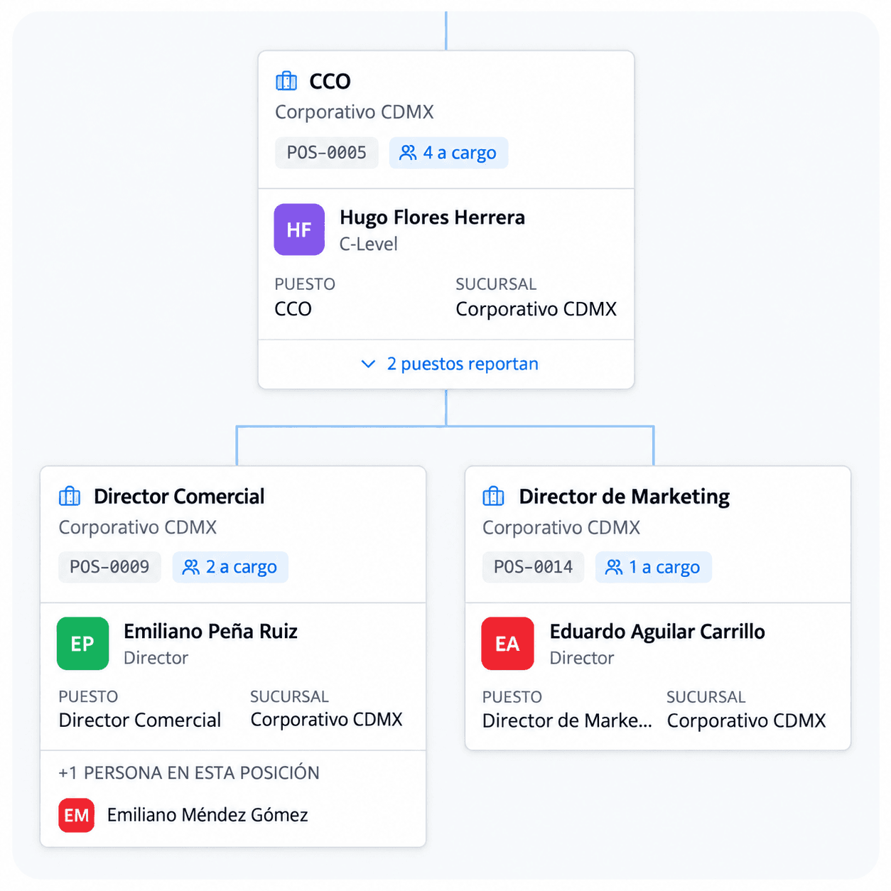 Organización App