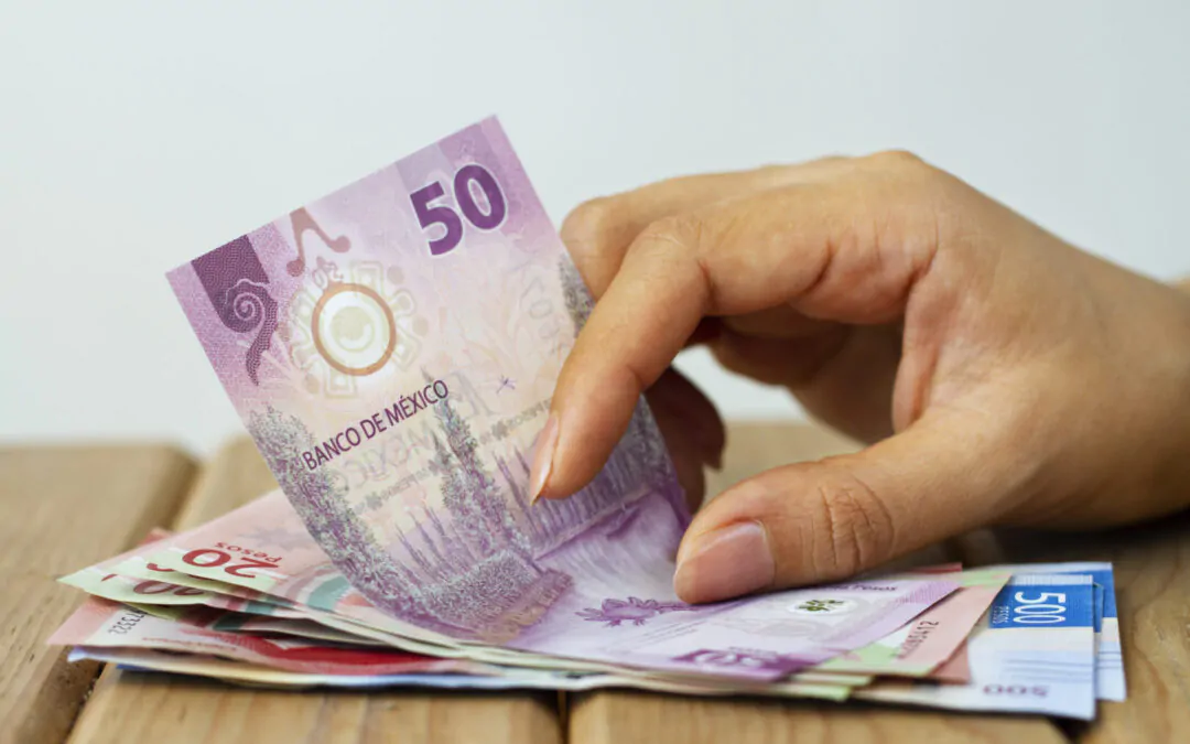 Tipos de nómina en México: ¿cuál es el adecuado para tu empresa y tus colaboradores? 